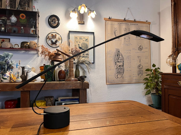 Lampe vintage Dove par Mario Barbaglia et Marco Colombo pour Paf Studio - Années 80