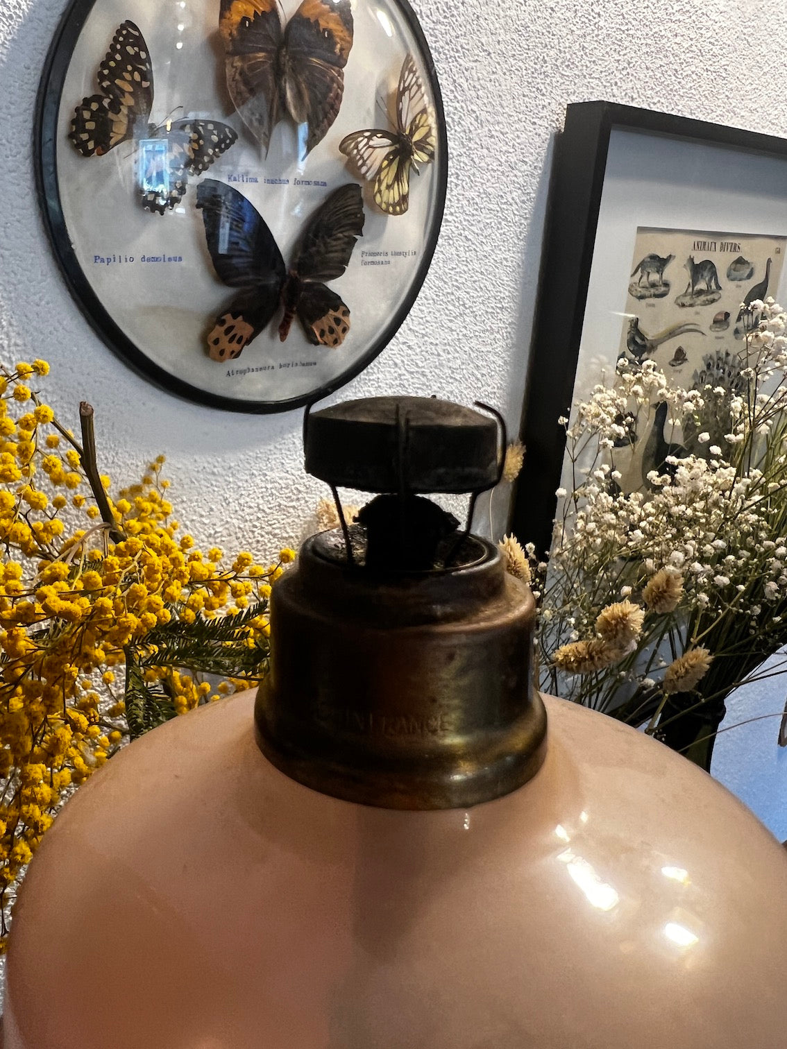 ANCIENNE LAMPE BERGER OPALINE De LORRAINE VERITABLE Couleur ROSE Collection D Imgx1200 3779 ANCIENNE LAMPE BERGER OPALINE De LORRAINE VERITABLE Couleur ROSE Collection D Imgx1200 3779