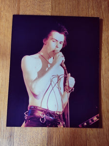 Photographie originale Sid Vicious Sex Pistols années 70 - Le Sélectionneur - Brocante en ligne