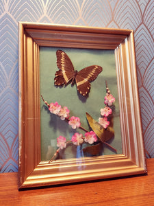 Cadre papillon vintage