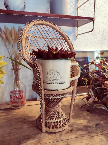 Mini fauteuil / porte-plante Emmanuelle vintage en rotin