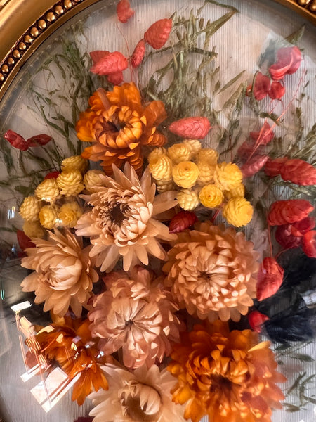 Cadre à verre bombé vintage de fleurs séchées