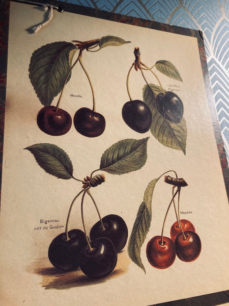 Carton décoratif fruits édité par Bernard Carant - Paris - Années 70
