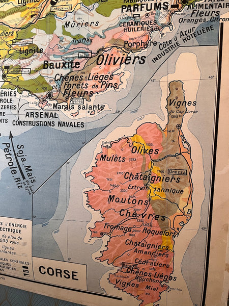 Carte / affiche scolaire vintage "Midi Méditerranéen et Corse" Kaeppelin et Deffontaines / Hatier N°6