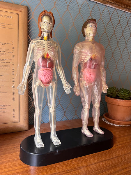 Mannequins anatomiques vintages Femme / Homme / Bébé - Il était une fois la vie - Années 80
