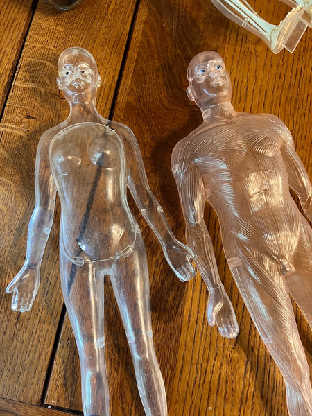 Mannequins anatomiques vintages Femme / Homme / Bébé - Il était une fois la vie - Années 80