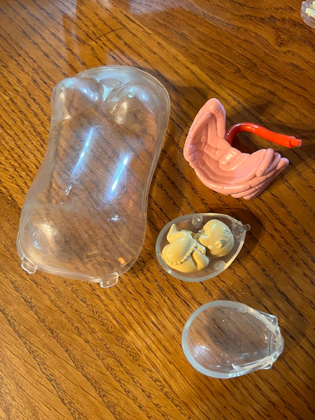 Mannequins anatomiques vintages Femme / Homme / Bébé - Il était une fois la vie - Années 80