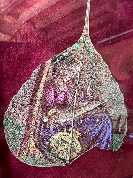 Duo de cadres vintages de feuilles de Pipal peintes - Inde