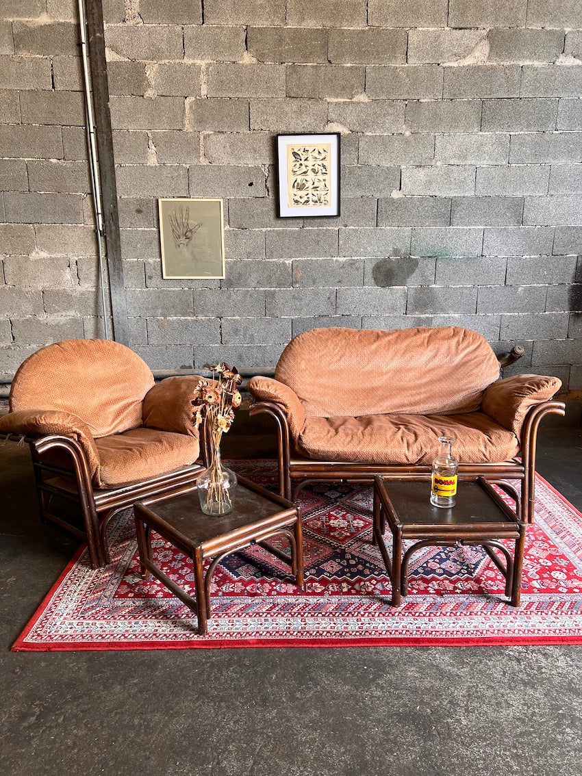 Le Sélectionneur - Brocante - Salon vintage en rotin foncé et velours rose pâle avec ses tables basses