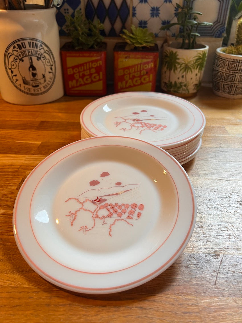 Lot de 10 assiettes à dessert vintages Arc Arcopal motif champêtre rose - Années 80