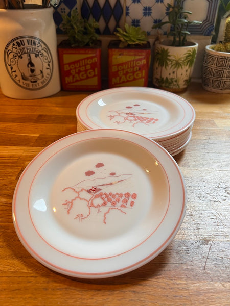 Lot de 10 assiettes à dessert vintages Arc Arcopal motif champêtre rose - Années 80