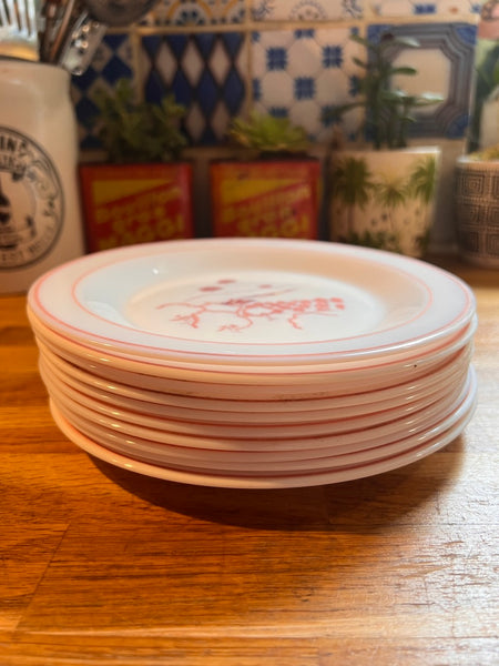 Lot de 10 assiettes à dessert vintages Arc Arcopal motif champêtre rose - Années 80