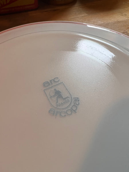 Lot de 10 assiettes à dessert vintages Arc Arcopal motif champêtre rose - Années 80